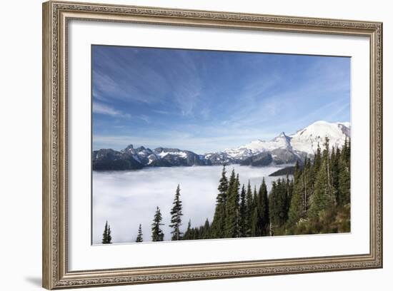 Washington, Mount Rainier National Park. Landscape from Sunrise Point-Jaynes Gallery-Framed Photographic Print