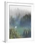 Washington, Mount Rainier National Park. Overview of Surprise Lake-Jaynes Gallery-Framed Premium Photographic Print