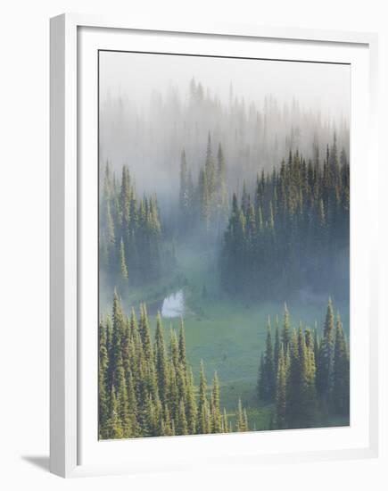 Washington, Mount Rainier National Park. Overview of Surprise Lake-Jaynes Gallery-Framed Premium Photographic Print