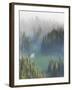 Washington, Mount Rainier National Park. Overview of Surprise Lake-Jaynes Gallery-Framed Premium Photographic Print