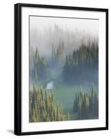 Washington, Mount Rainier National Park. Overview of Surprise Lake-Jaynes Gallery-Framed Premium Photographic Print