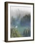 Washington, Mount Rainier National Park. Overview of Surprise Lake-Jaynes Gallery-Framed Photographic Print