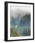 Washington, Mount Rainier National Park. Overview of Surprise Lake-Jaynes Gallery-Framed Photographic Print