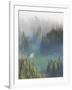 Washington, Mount Rainier National Park. Overview of Surprise Lake-Jaynes Gallery-Framed Photographic Print