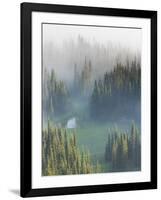 Washington, Mount Rainier National Park. Overview of Surprise Lake-Jaynes Gallery-Framed Photographic Print
