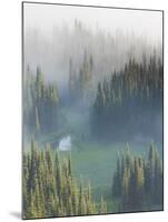 Washington, Mount Rainier National Park. Overview of Surprise Lake-Jaynes Gallery-Mounted Photographic Print