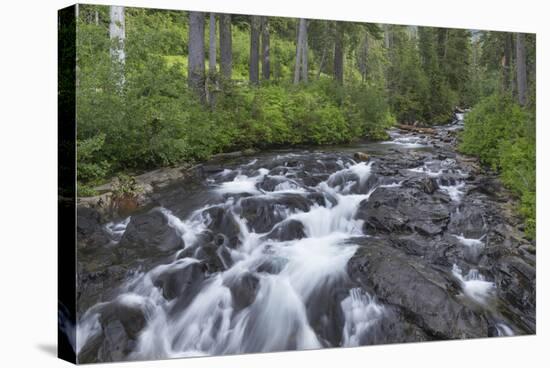 Washington, Mount Rainier National Park. Scenic of Paradise Creek-Jaynes Gallery-Stretched Canvas