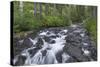 Washington, Mount Rainier National Park. Scenic of Paradise Creek-Jaynes Gallery-Stretched Canvas