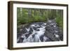 Washington, Mount Rainier National Park. Scenic of Paradise Creek-Jaynes Gallery-Framed Photographic Print