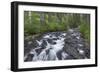 Washington, Mount Rainier National Park. Scenic of Paradise Creek-Jaynes Gallery-Framed Photographic Print