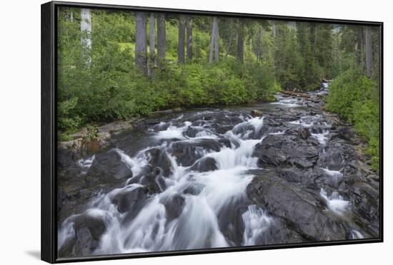 Washington, Mount Rainier National Park. Scenic of Paradise Creek-Jaynes Gallery-Framed Photographic Print