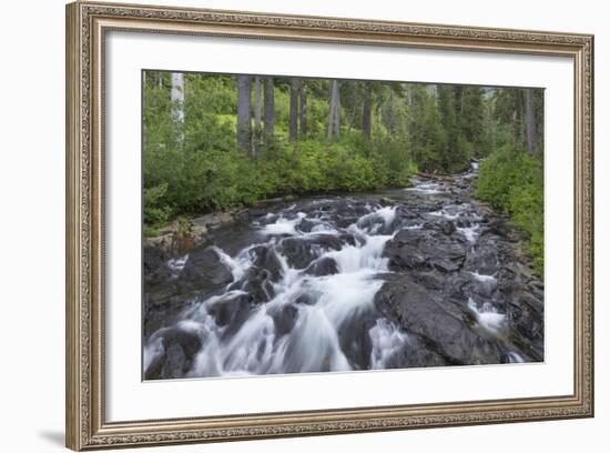 Washington, Mount Rainier National Park. Scenic of Paradise Creek-Jaynes Gallery-Framed Photographic Print