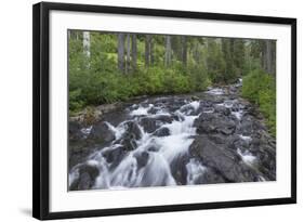 Washington, Mount Rainier National Park. Scenic of Paradise Creek-Jaynes Gallery-Framed Photographic Print