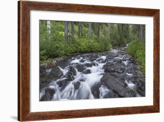 Washington, Mount Rainier National Park. Scenic of Paradise Creek-Jaynes Gallery-Framed Photographic Print