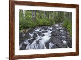 Washington, Mount Rainier National Park. Scenic of Paradise Creek-Jaynes Gallery-Framed Photographic Print