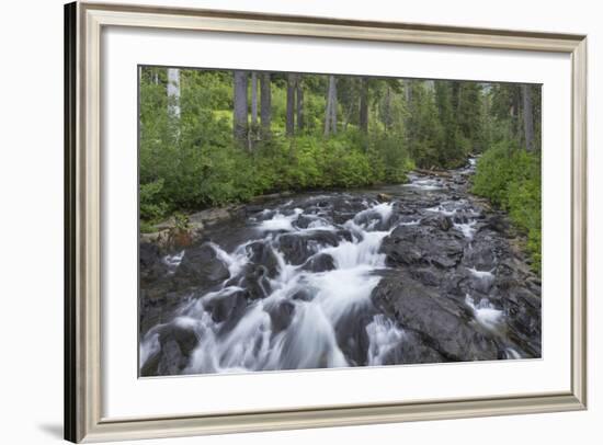 Washington, Mount Rainier National Park. Scenic of Paradise Creek-Jaynes Gallery-Framed Photographic Print