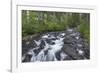 Washington, Mount Rainier National Park. Scenic of Paradise Creek-Jaynes Gallery-Framed Photographic Print