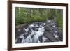 Washington, Mount Rainier National Park. Scenic of Paradise Creek-Jaynes Gallery-Framed Photographic Print