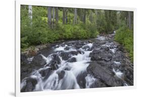 Washington, Mount Rainier National Park. Scenic of Paradise Creek-Jaynes Gallery-Framed Photographic Print