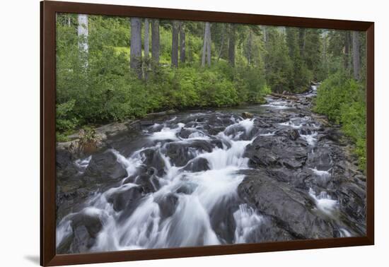 Washington, Mount Rainier National Park. Scenic of Paradise Creek-Jaynes Gallery-Framed Photographic Print