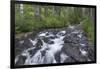 Washington, Mount Rainier National Park. Scenic of Paradise Creek-Jaynes Gallery-Framed Photographic Print