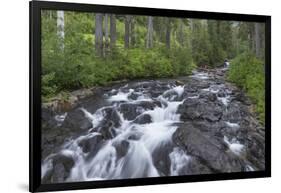 Washington, Mount Rainier National Park. Scenic of Paradise Creek-Jaynes Gallery-Framed Photographic Print