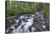 Washington, Mount Rainier National Park. Scenic of Paradise Creek-Jaynes Gallery-Stretched Canvas