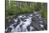 Washington, Mount Rainier National Park. Scenic of Paradise Creek-Jaynes Gallery-Stretched Canvas