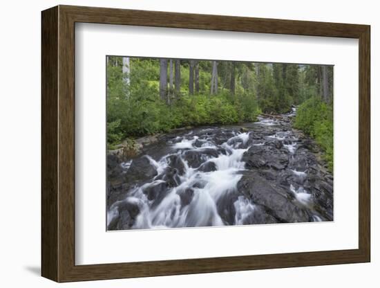 Washington, Mount Rainier National Park. Scenic of Paradise Creek-Jaynes Gallery-Framed Photographic Print