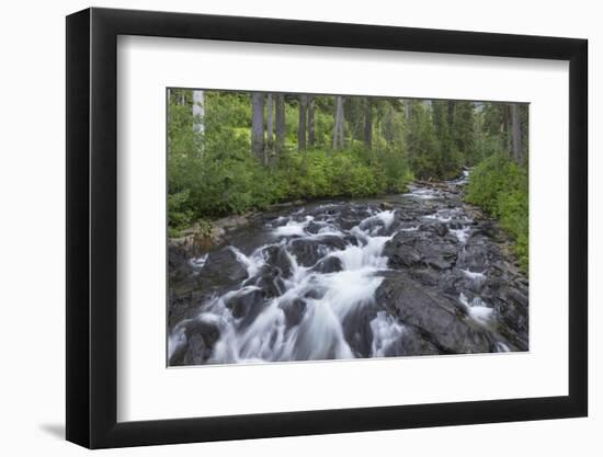 Washington, Mount Rainier National Park. Scenic of Paradise Creek-Jaynes Gallery-Framed Photographic Print