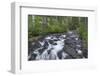 Washington, Mount Rainier National Park. Scenic of Paradise Creek-Jaynes Gallery-Framed Photographic Print