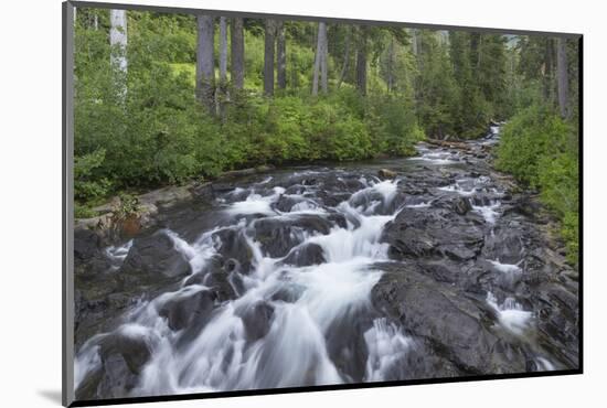 Washington, Mount Rainier National Park. Scenic of Paradise Creek-Jaynes Gallery-Mounted Photographic Print