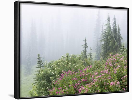 Washington, Mount Rainier National Park. Wildflowers in Misty Forest-Jaynes Gallery-Framed Photographic Print
