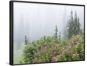 Washington, Mount Rainier National Park. Wildflowers in Misty Forest-Jaynes Gallery-Framed Photographic Print