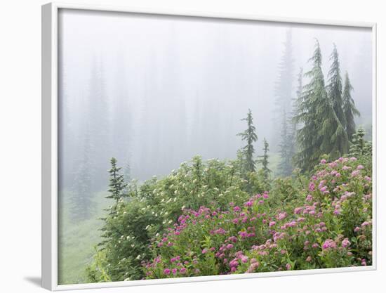 Washington, Mount Rainier National Park. Wildflowers in Misty Forest-Jaynes Gallery-Framed Photographic Print