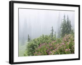 Washington, Mount Rainier National Park. Wildflowers in Misty Forest-Jaynes Gallery-Framed Photographic Print