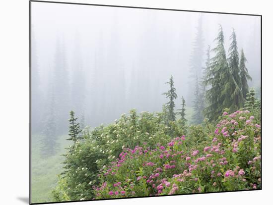 Washington, Mount Rainier National Park. Wildflowers in Misty Forest-Jaynes Gallery-Mounted Photographic Print