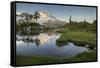 Washington, Mt. Baker Reflecting in a Tarn on Park Butte-Gary Luhm-Framed Stretched Canvas