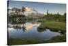 Washington, Mt. Baker Reflecting in a Tarn on Park Butte-Gary Luhm-Stretched Canvas