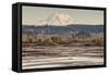 Washington. Mt Rainier in the Distance at the Nisqually-Matt Freedman-Framed Stretched Canvas