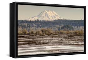 Washington. Mt Rainier in the Distance at the Nisqually-Matt Freedman-Framed Stretched Canvas
