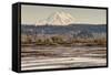 Washington. Mt Rainier in the Distance at the Nisqually-Matt Freedman-Framed Stretched Canvas