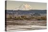 Washington. Mt Rainier in the Distance at the Nisqually-Matt Freedman-Stretched Canvas