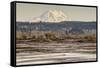 Washington. Mt Rainier in the Distance at the Nisqually-Matt Freedman-Framed Stretched Canvas