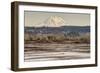 Washington. Mt Rainier in the Distance at the Nisqually-Matt Freedman-Framed Photographic Print