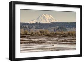 Washington. Mt Rainier in the Distance at the Nisqually-Matt Freedman-Framed Photographic Print