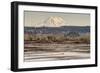 Washington. Mt Rainier in the Distance at the Nisqually-Matt Freedman-Framed Photographic Print