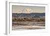 Washington. Mt Rainier in the Distance at the Nisqually-Matt Freedman-Framed Photographic Print