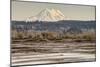 Washington. Mt Rainier in the Distance at the Nisqually-Matt Freedman-Mounted Photographic Print