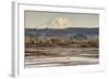 Washington. Mt Rainier in the Distance at the Nisqually-Matt Freedman-Framed Photographic Print